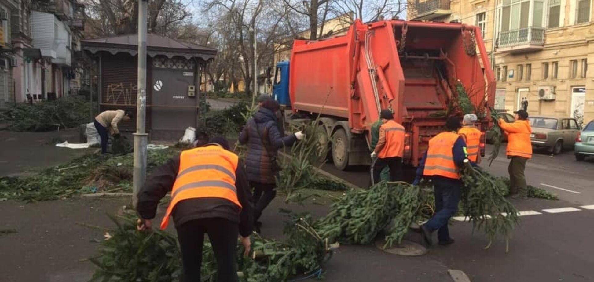 В Одесі склали 'чорний список' торговців ялинками, які кинули на вулицях нерозпродані дерева