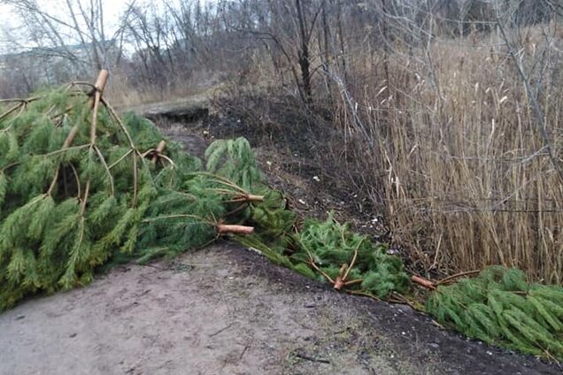 У Дніпрі влаштували 'кладовище' непроданих ялинок