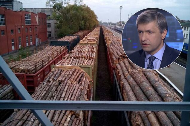 Скандальное заявление вице-премьера по вырубке леса: экс-нардеп указал на ошибку Кабмина