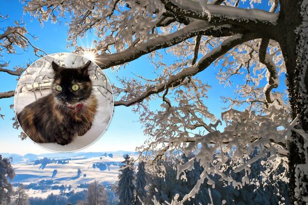 Мороз до -27: Гідрометцентр оцінив скандальний прогноз погоди на січень