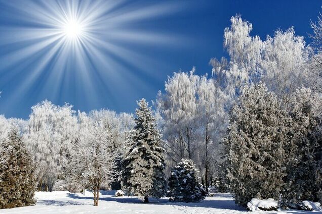 Святой вечер 2020: лучшие поздравления с праздником 6 января