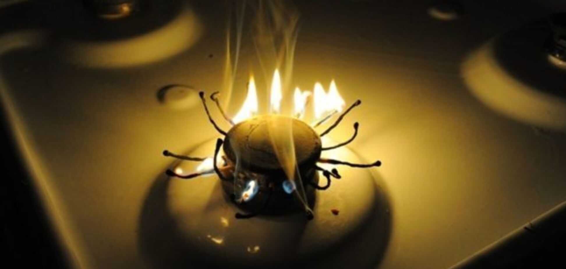 Украинцам пообещали новые тарифы на газ: министр раскрыл детали