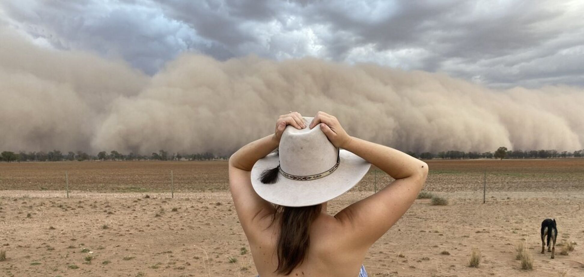 'День превратился в ночь': Австралию накрыла мощная пыльная буря. Фото и видео