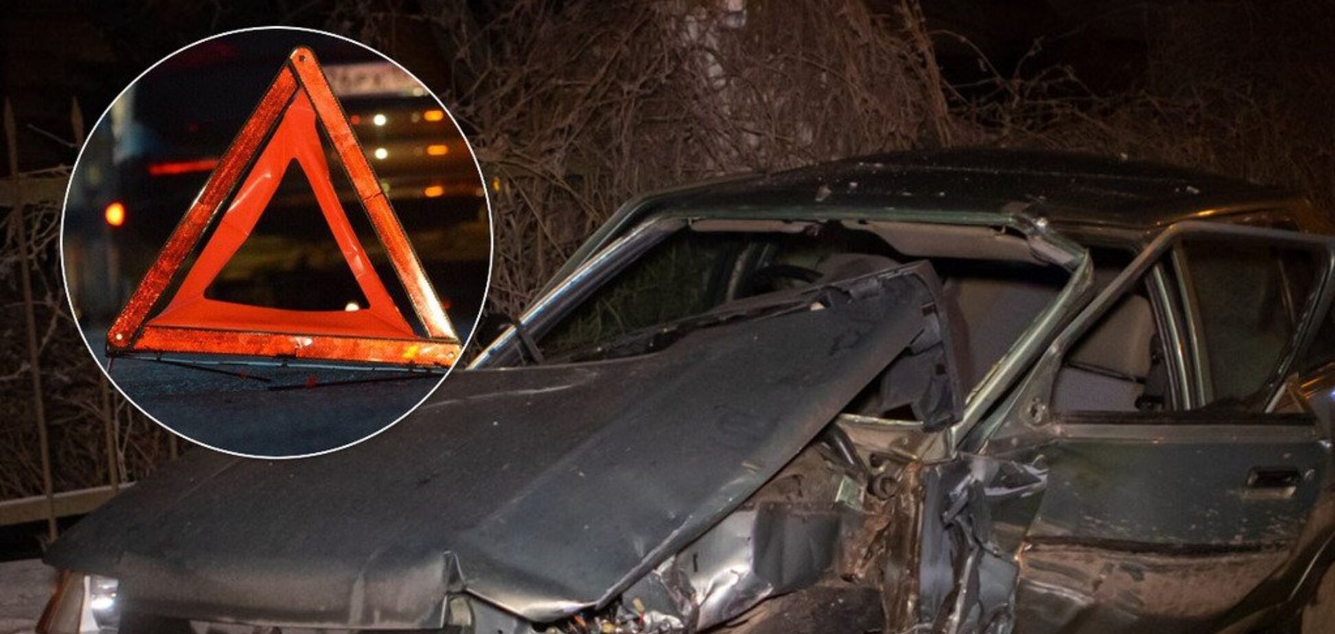 У Дніпрі автомобіль на швидкості врізався в дерево: постраждав водій. Фото і відео