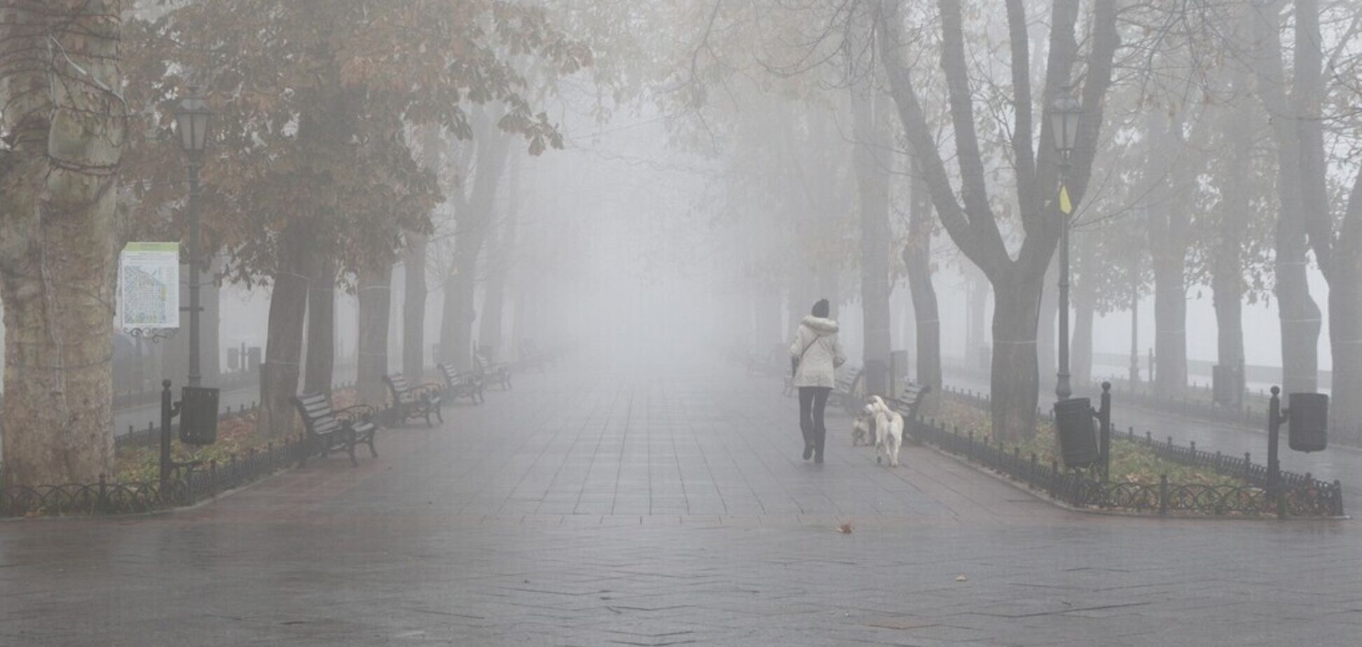 Погода в Одессе