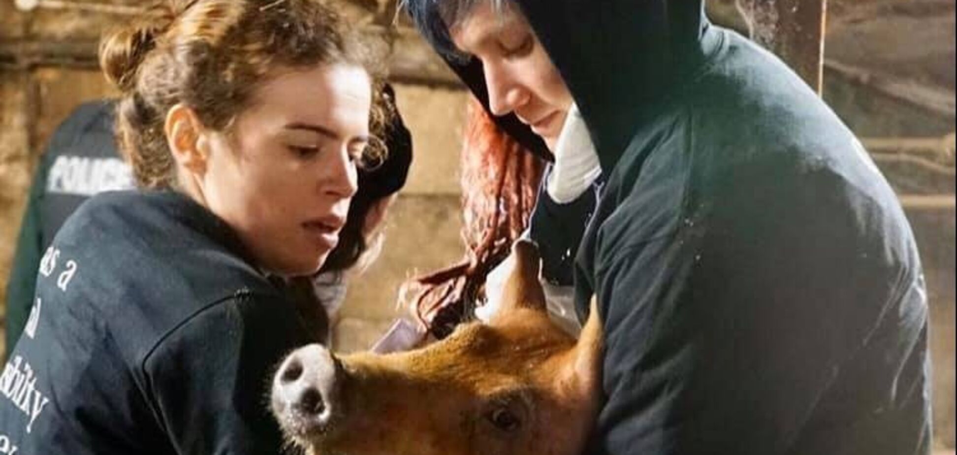 'Тихо хныкали, когда их ели заживо': свиньи-каннибалы попали на видео. Жуткие фото 18+