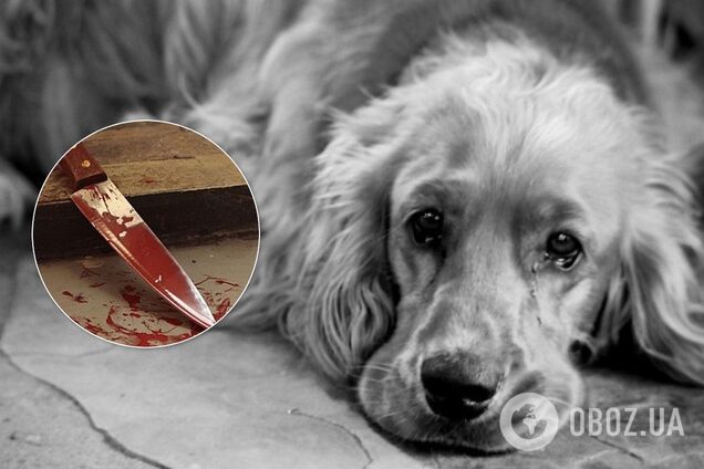 Перерізав шиї собакам: на Дніпропетровщині затримали жорстокого шкуродера