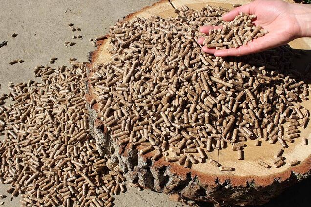 Названо основні проблеми з біопаливом в Україні: що стримує індустрію