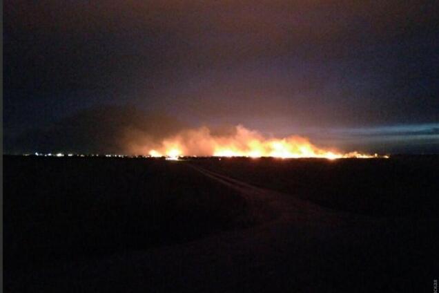 Пожежники не могли підступитися: під Одесою горіли 15 га національного парку. Фото і відео НП