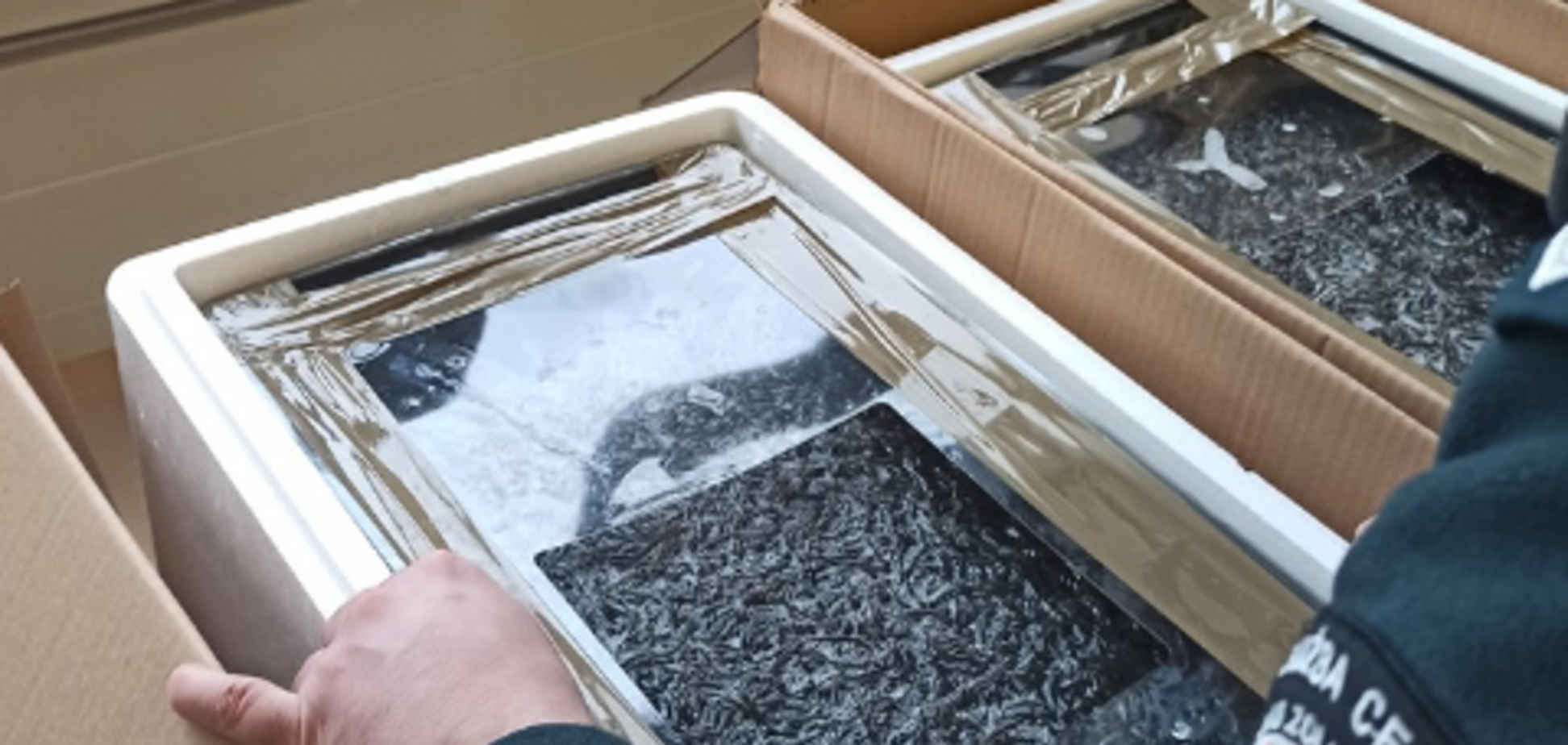 В Польше поймали украинца с рекордной партией контрабандного угря