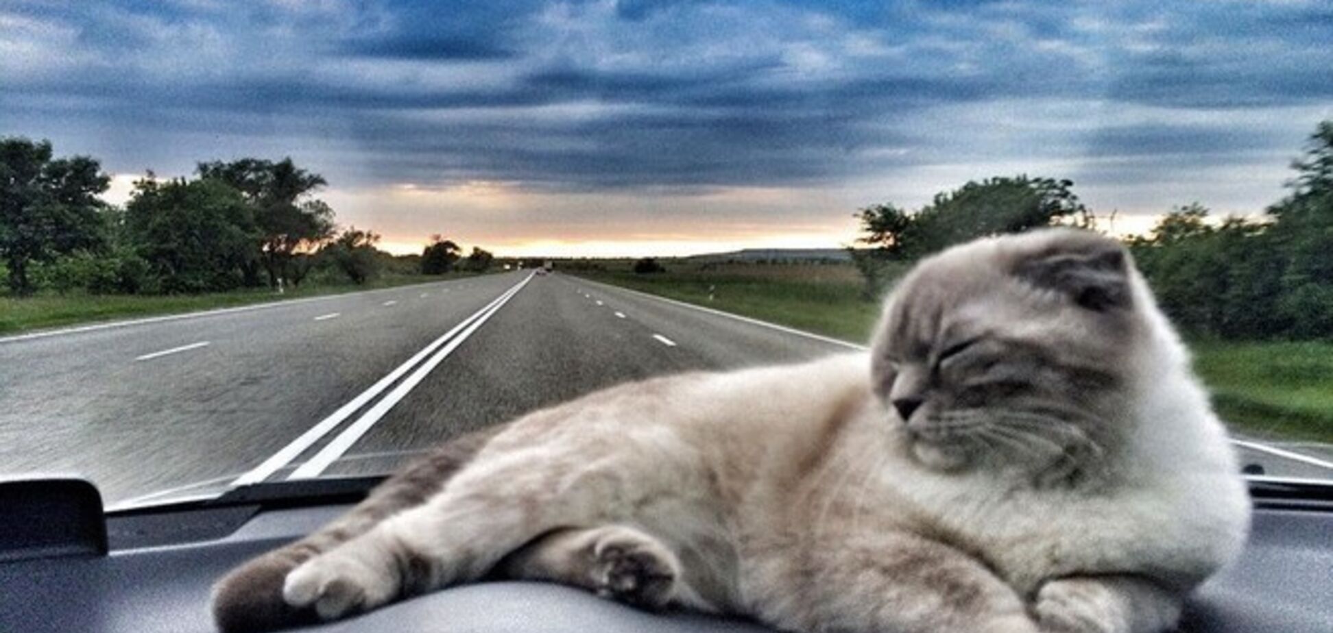 Погода в Дніпрі: з'явився свіжий прогноз на 23 січня