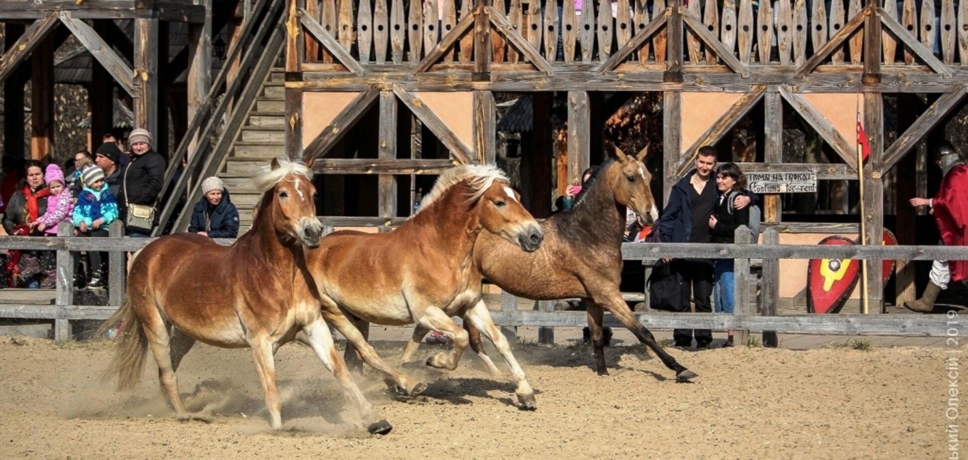 Під Києвом презентують унікальну колекцію