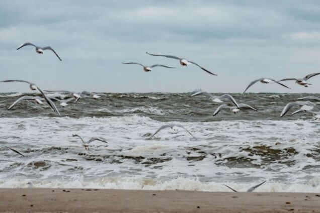 Погода в Одесі