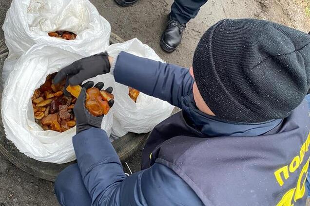 Глава сельсовета на Ровенщине 'накопал' янтаря на $30 тысяч: фото и видео задержания