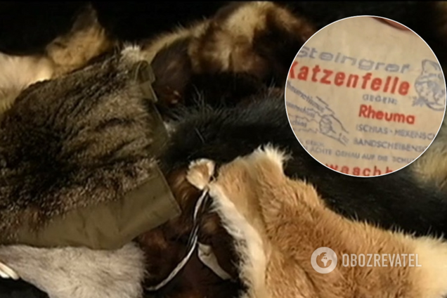 В Киеве нашли в продаже вещи из шкурок котов