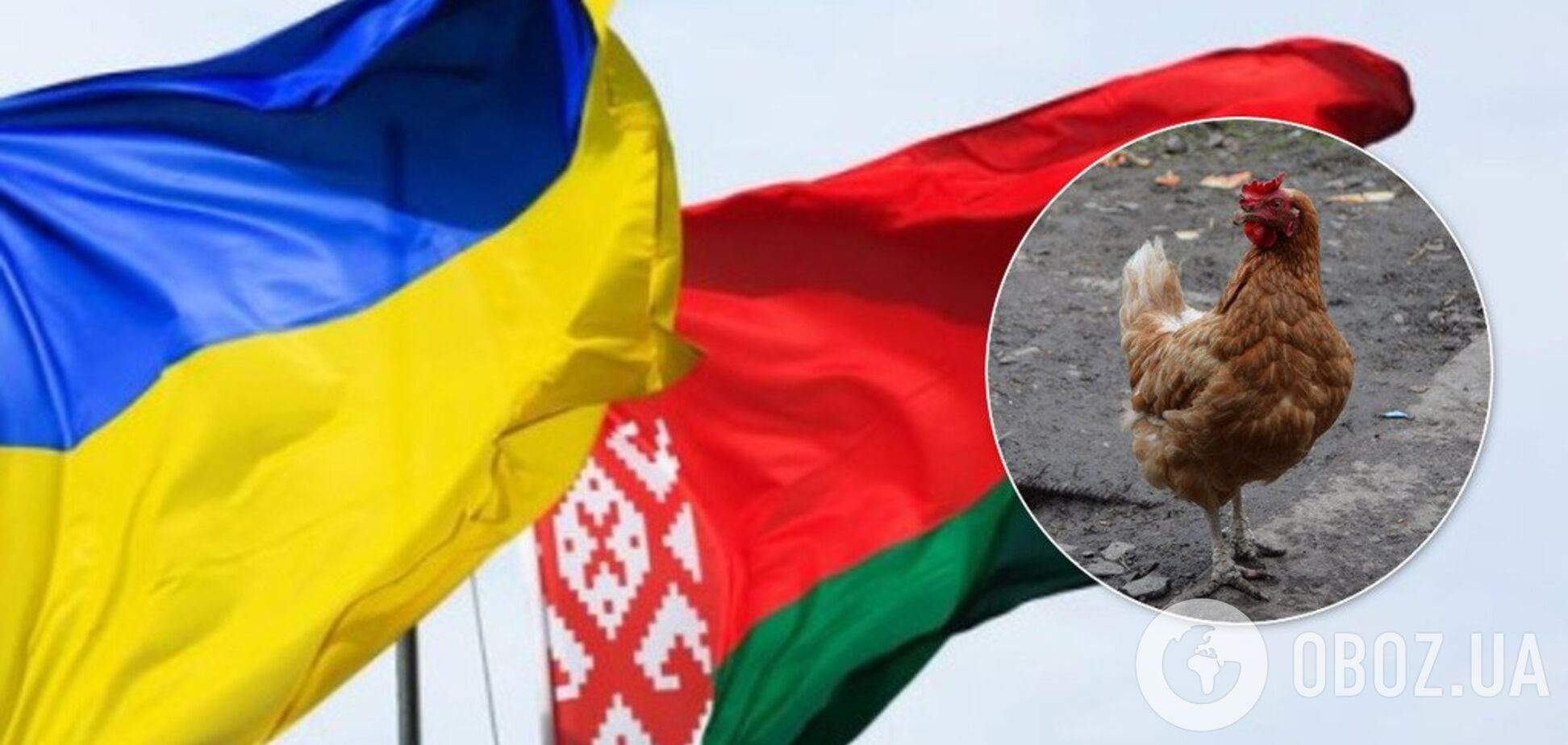 Слідом за ЄС: Білорусь заборонила ввезення курятини з України