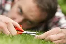 Почему перфекционист – не всегда хороший сотрудник?