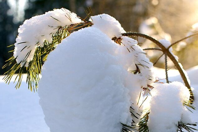 До +8! Синоптики здивували прогнозом погоди в Україні