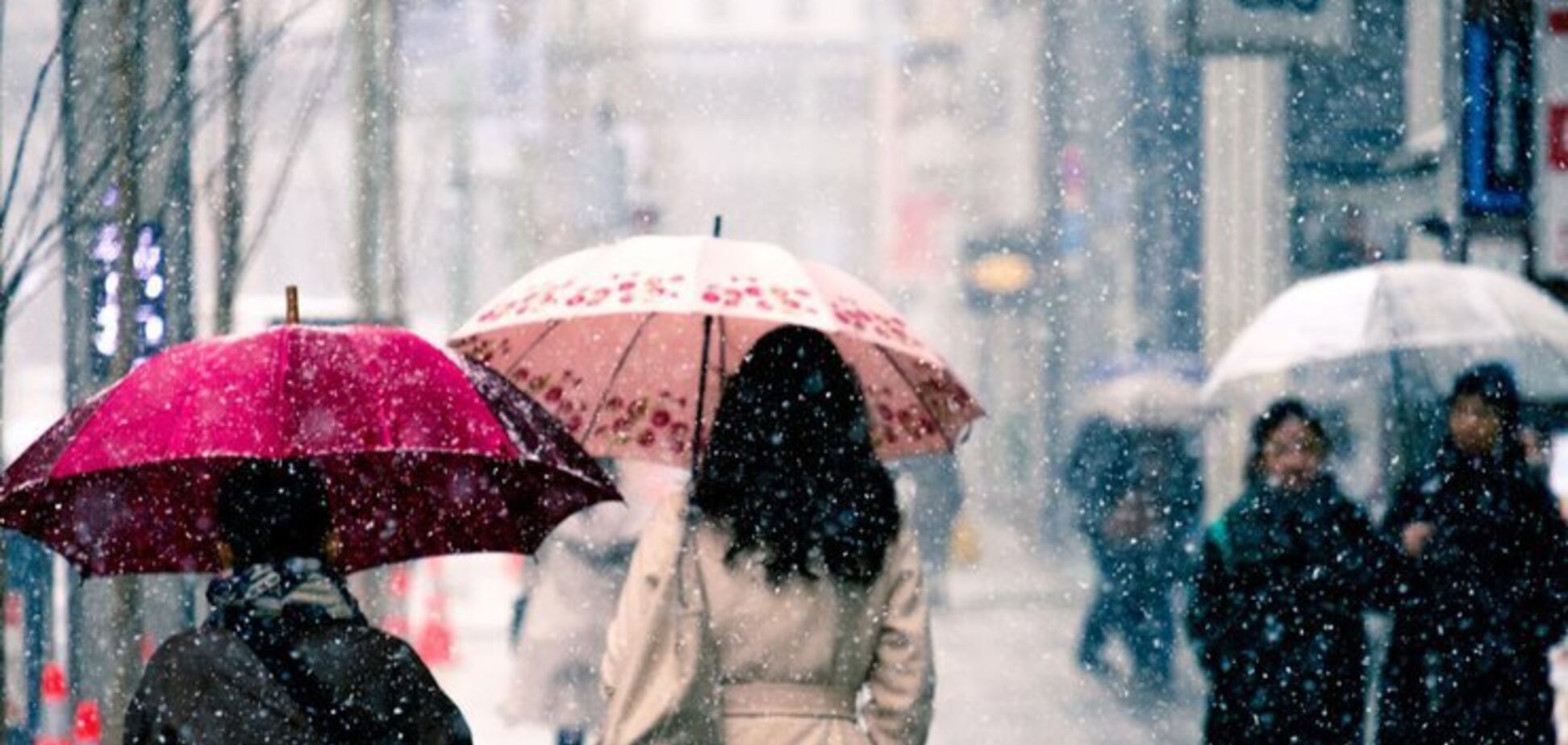 Идут дожди: синоптики рассказали о смене погоды