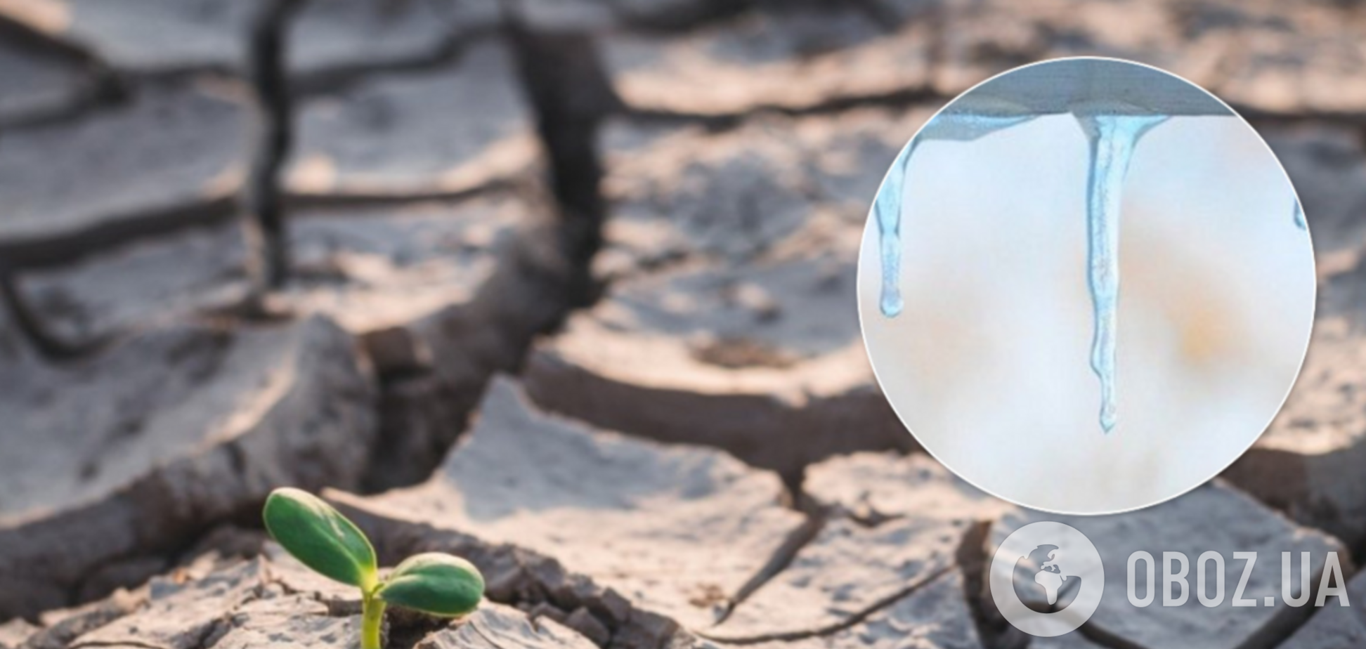 Названа новая опасность отсутствия снега в Украине