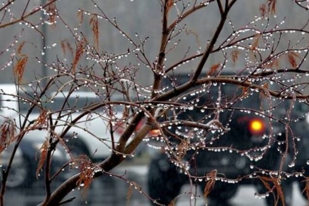 Аномальное тепло: синоптики уточнили прогноз погоды в Украине