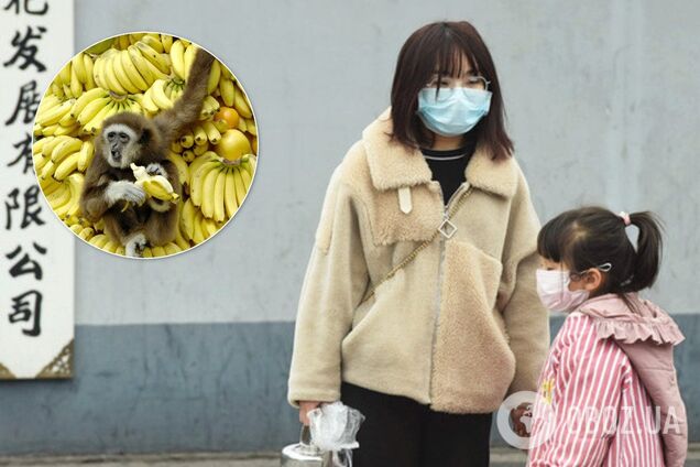 Развенчан громкий фейк о коронавирусе в бананах: откуда растут ноги