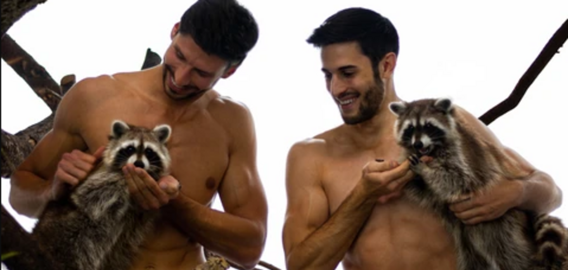 Студенты снялись голыми для спасения коал в Австралии