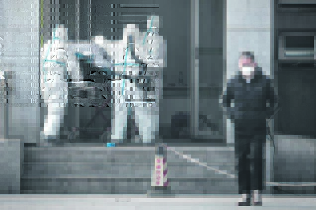 Зарождение коронавирусов в Китае