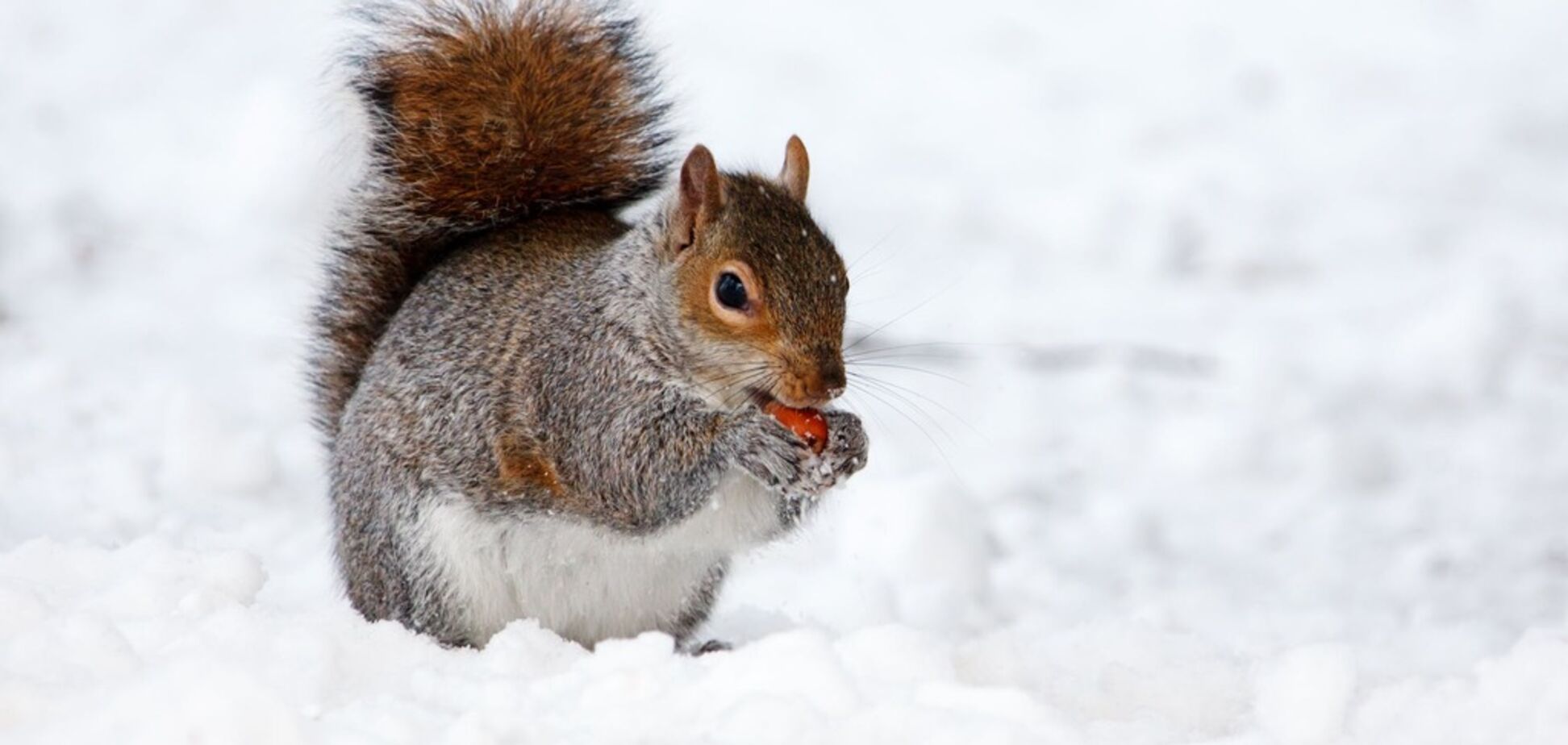 Приметы и праздники 30 января: что нельзя делать в этот день