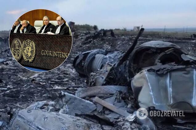 Стало відомо ім'я нового свідка у справі катастрофи МН17 на Донбасі