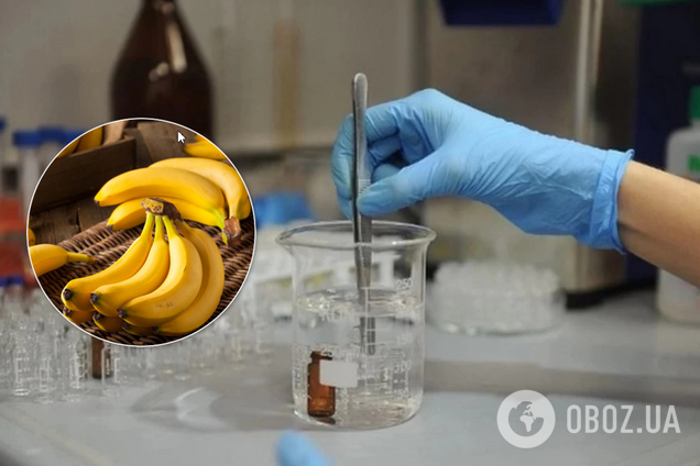 Банани й коронавірус: інфекціоніст спростував найпопулярніший фейк