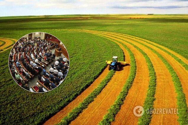 Кому продадут землю и почему можно стать жертвой аферы: какой рынок земли примут в 2020-м