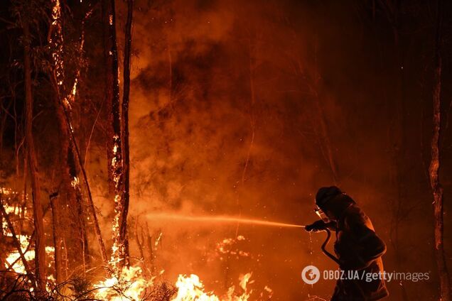 Австралію накрили пекельні пожежі: тисячі постраждалих, півмільярда загиблих тварин, вигоріла територія розміром з Одещину. Фото й відео