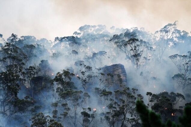 Предотвратить климатический апокалипсис: составлена программа спасения Земли на десятилетие