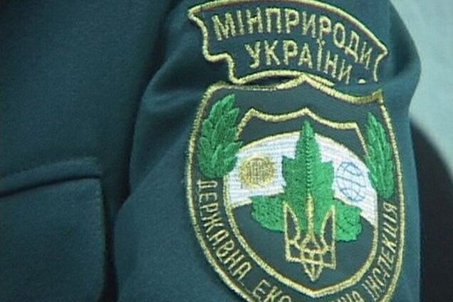 'Опять не в курсе?' Экоактивистка обвинила Госэкоинспекцию в нарушении закона
