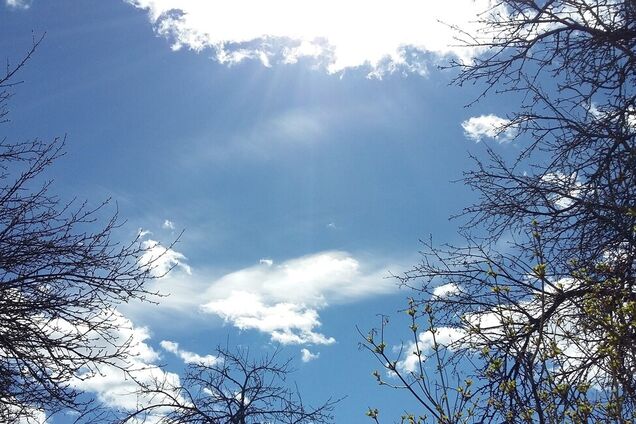 'Почалася весна!' Синоптикиня дала аномальний прогноз погоди в Україні