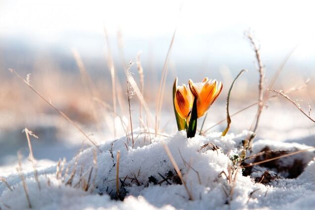 Сніг і морози до самого травня: з'явився прогноз на весну в Україні