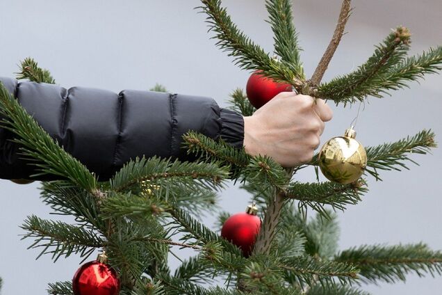 Где в Днепре можно сдать новогоднюю елку: список адресов