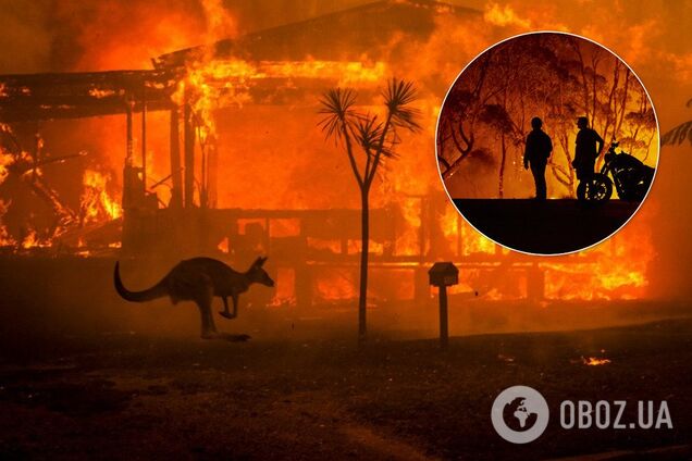 Пожежі в Австралії замкнулися в зачароване коло
