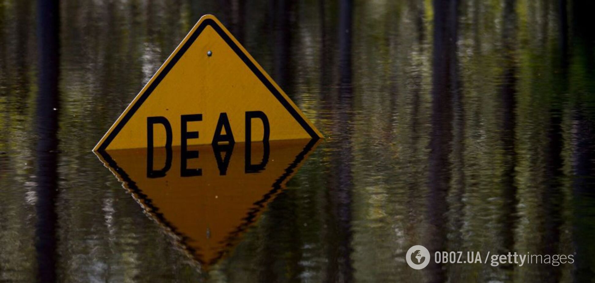 Україну чекає навала ураганів і повеней: озвучено моторошний прогноз на 2020 рік