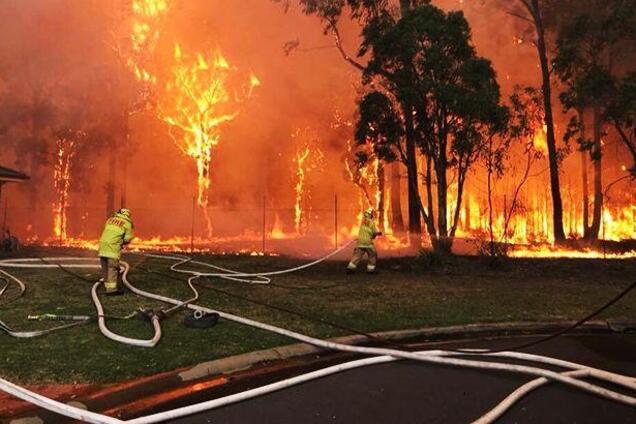 'Не будьте в омані': Порошенко закликав допомогти австралійцям у боротьбі з пожежами