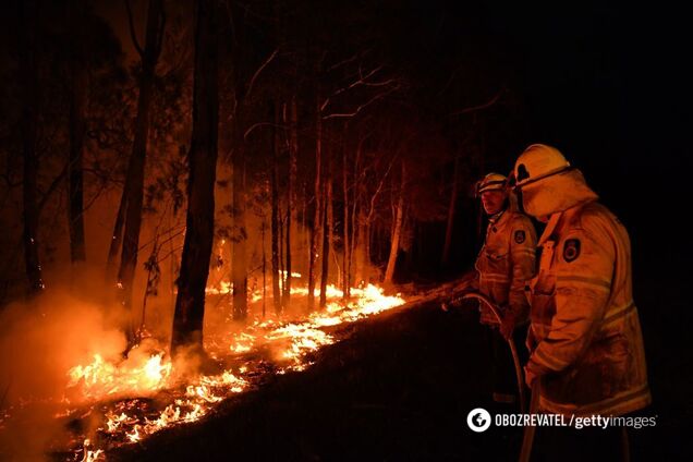 "Святий Боже не допоможе": українець, який живе в Австралії, розкрив правду про пожежі