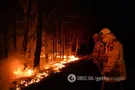 Пожары в Австралии