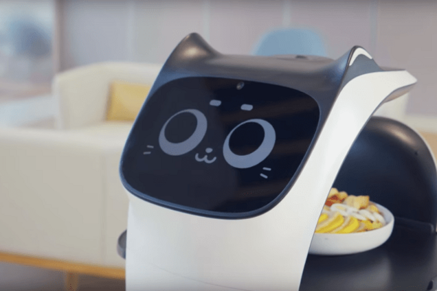 Китайці придумали роботизованого кота-офіціанта: фото й відео