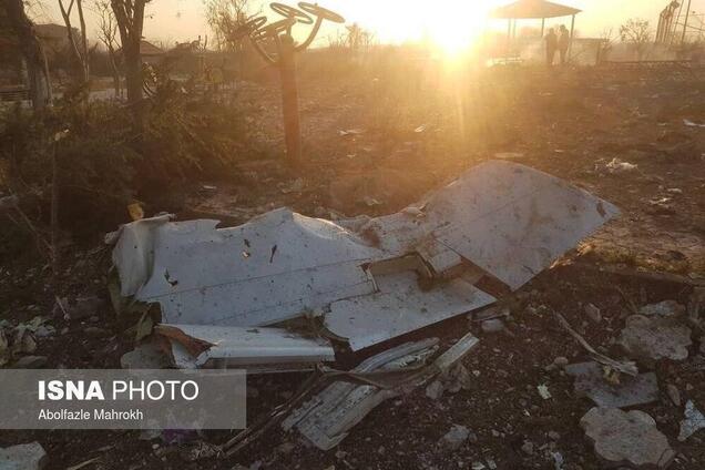 У Раді назвали дату, коли обговорять авіакатастрофу українського літака