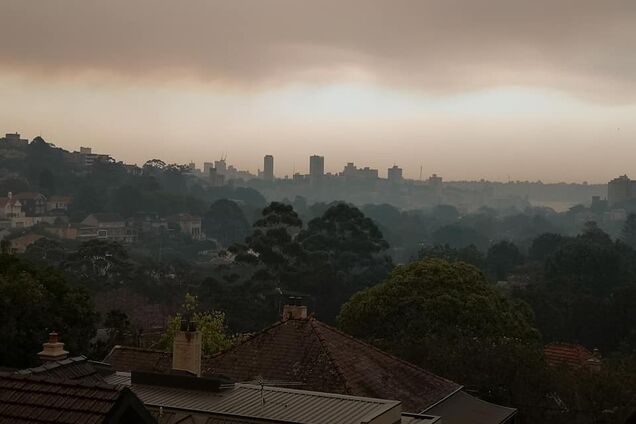 Пожары в Австралии глазами жителя Сиднея