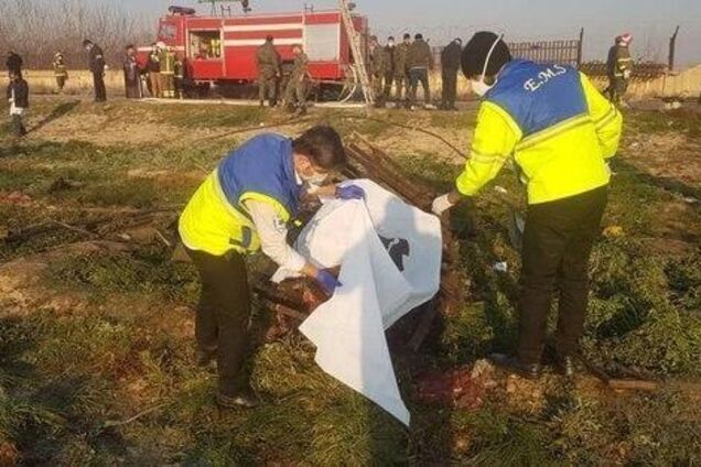 В авиакатастрофе в Иране разбились 11 украинцев: названы фамилии