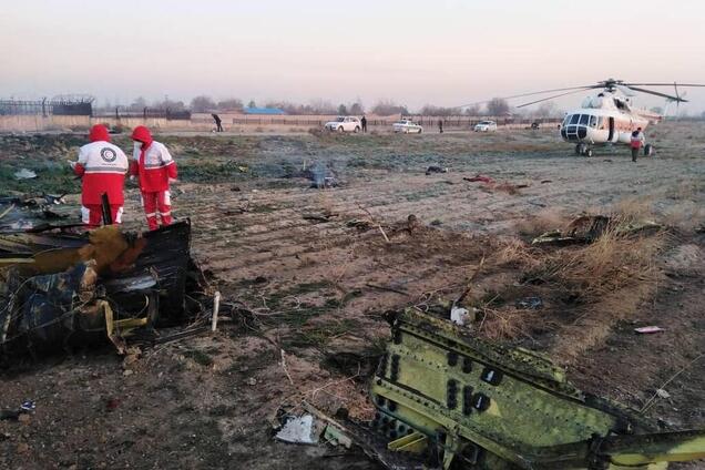 В Иране разбился украинский самолет: в сеть слили первые фото