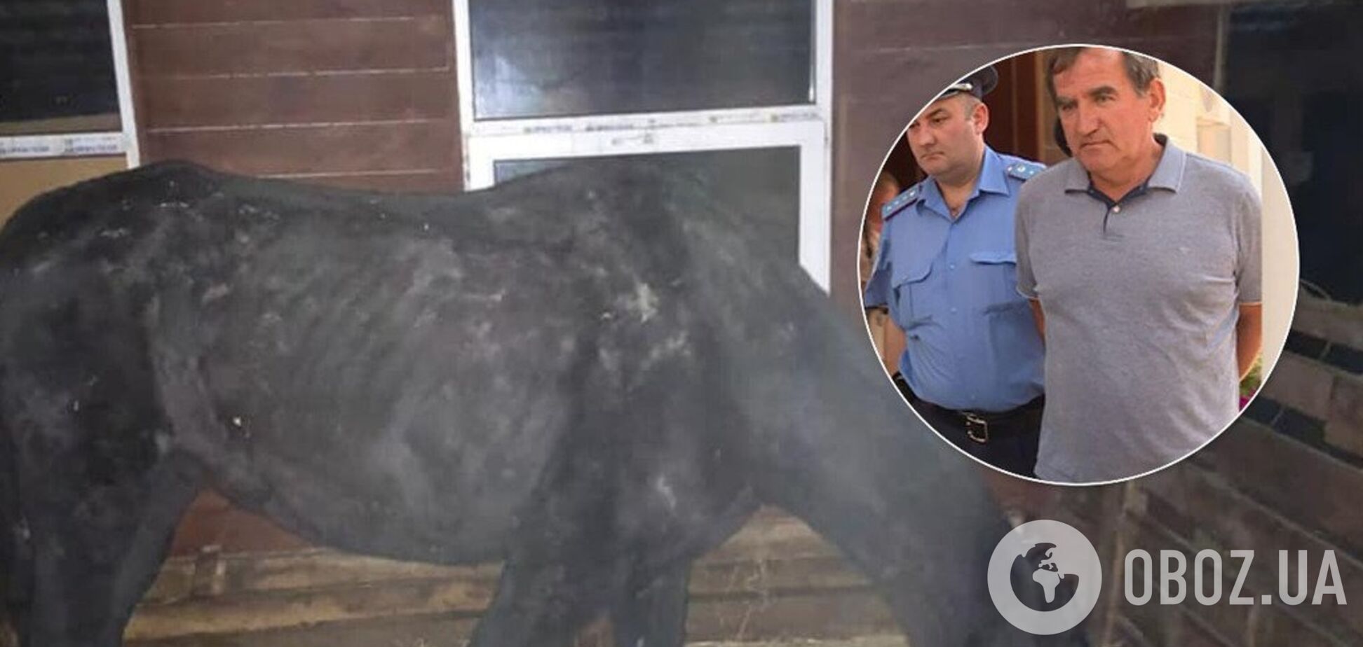 Морив голодом десятки тварин: на Київщині піде під суд власник зоопарку