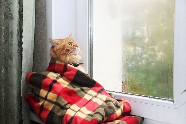 Без морозов и снега: синоптики уточнили прогноз погоды в Украине